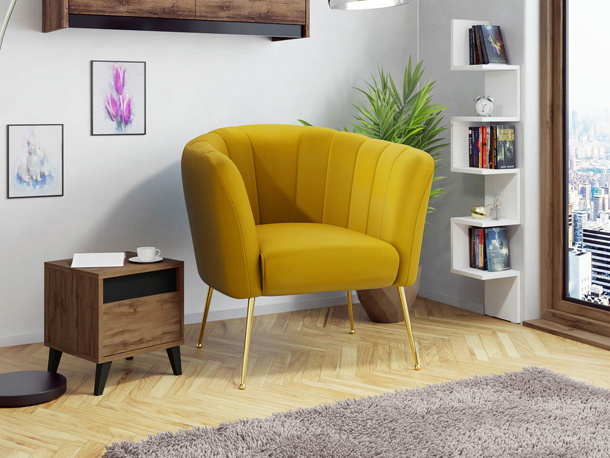 Fotelis 466194