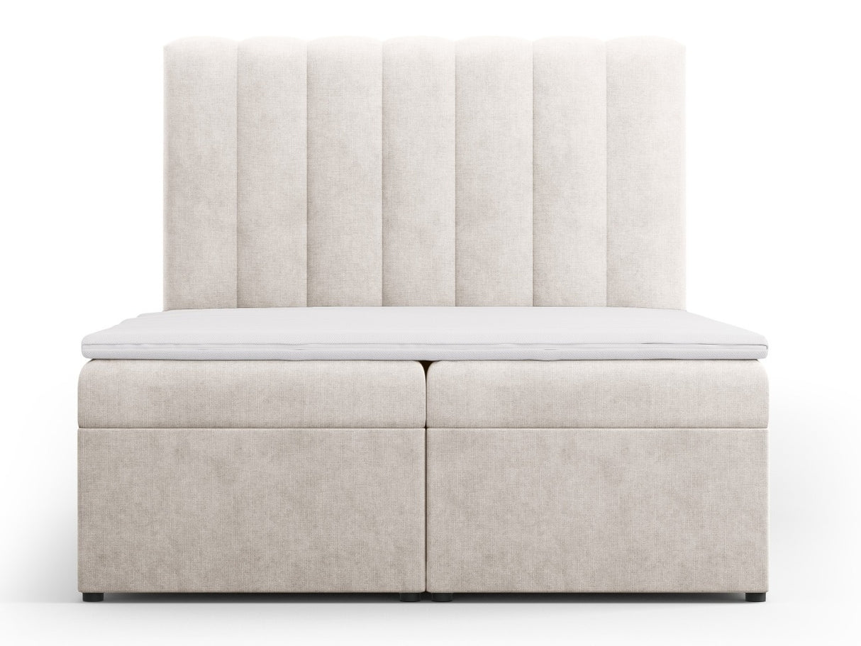 Continental lova 564246