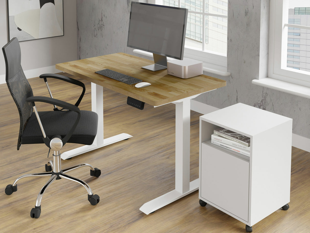Reguliuojamo aukščio darbo stalas 612689 4251967