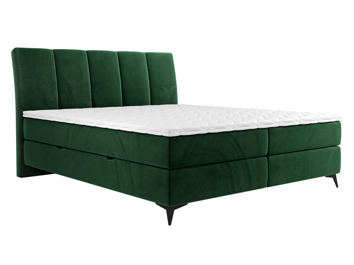 Continental lova 436149