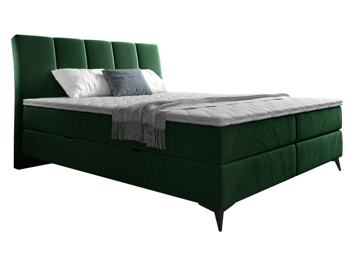 Continental lova 436149