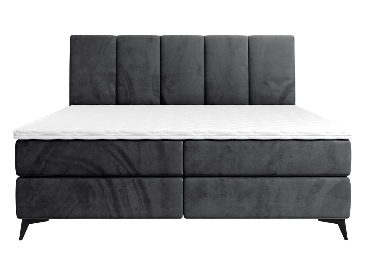 Continental lova 436149