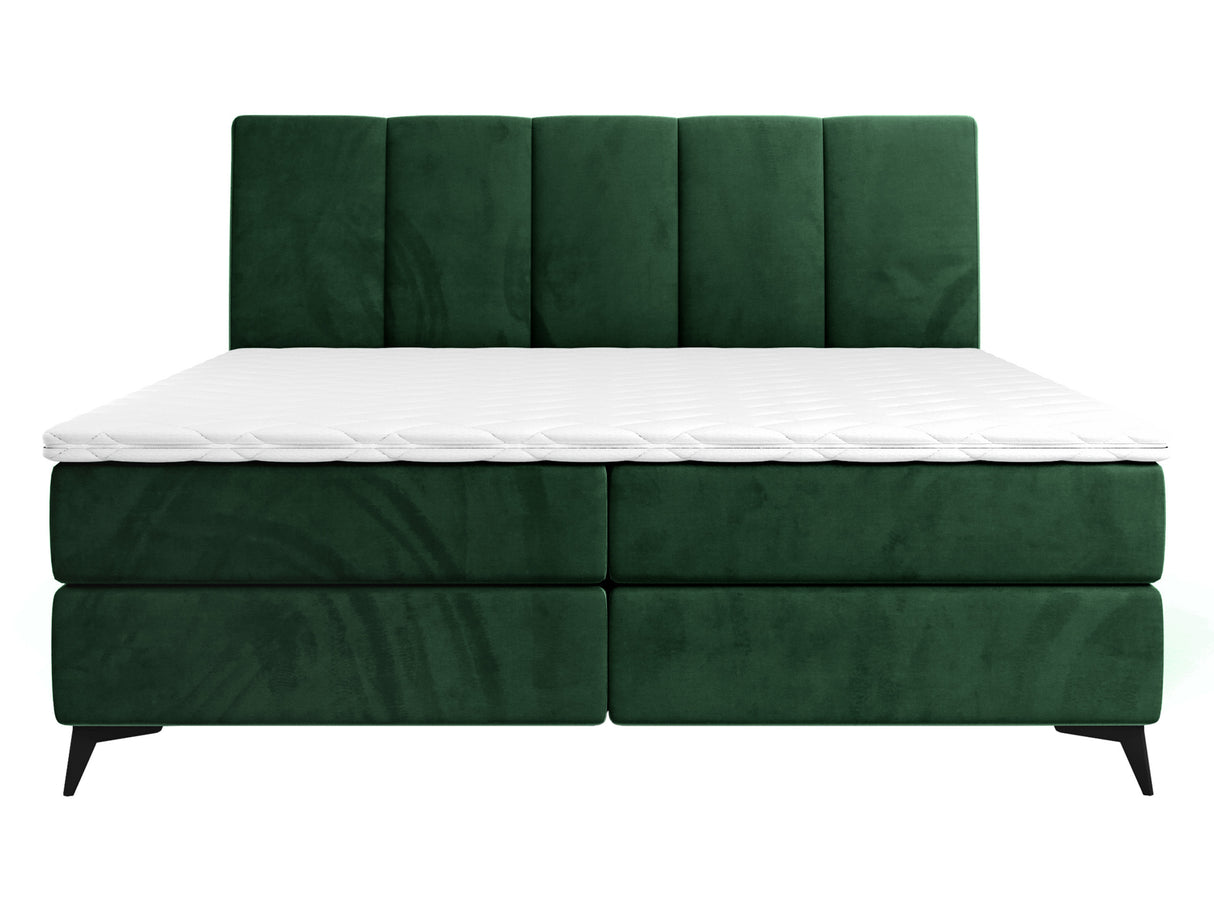 Continental lova 436149