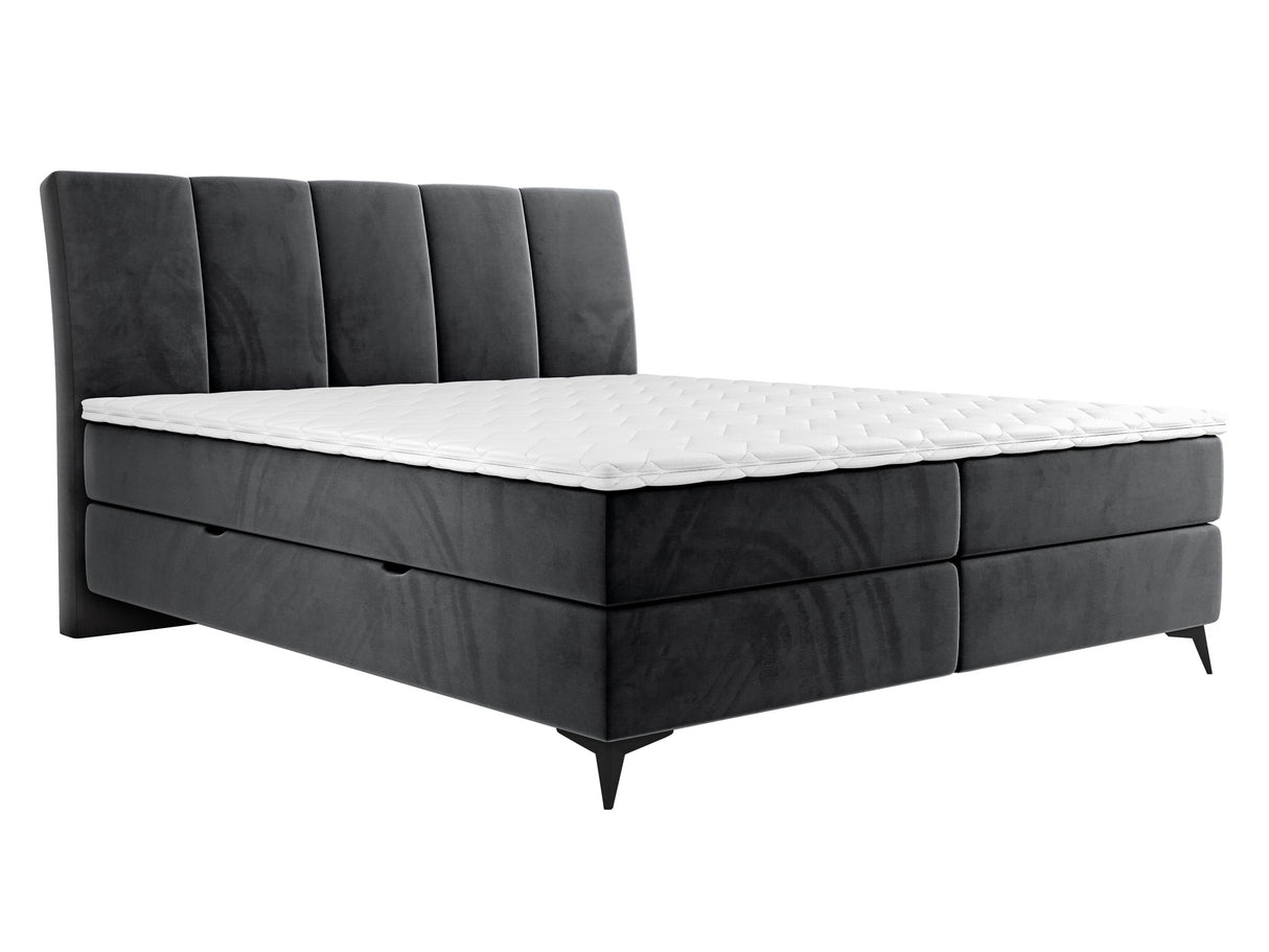 Continental lova 436149
