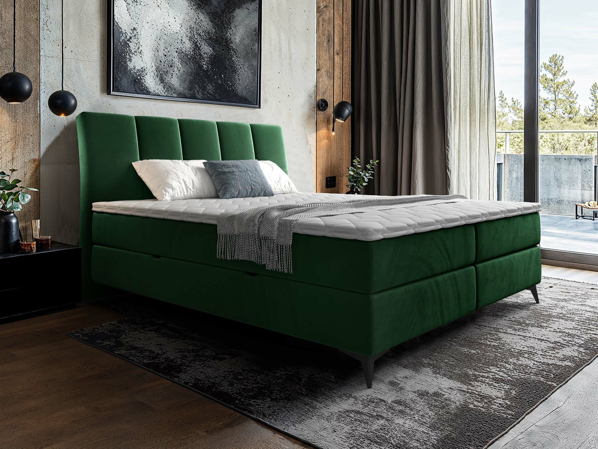 Continental lova 436149