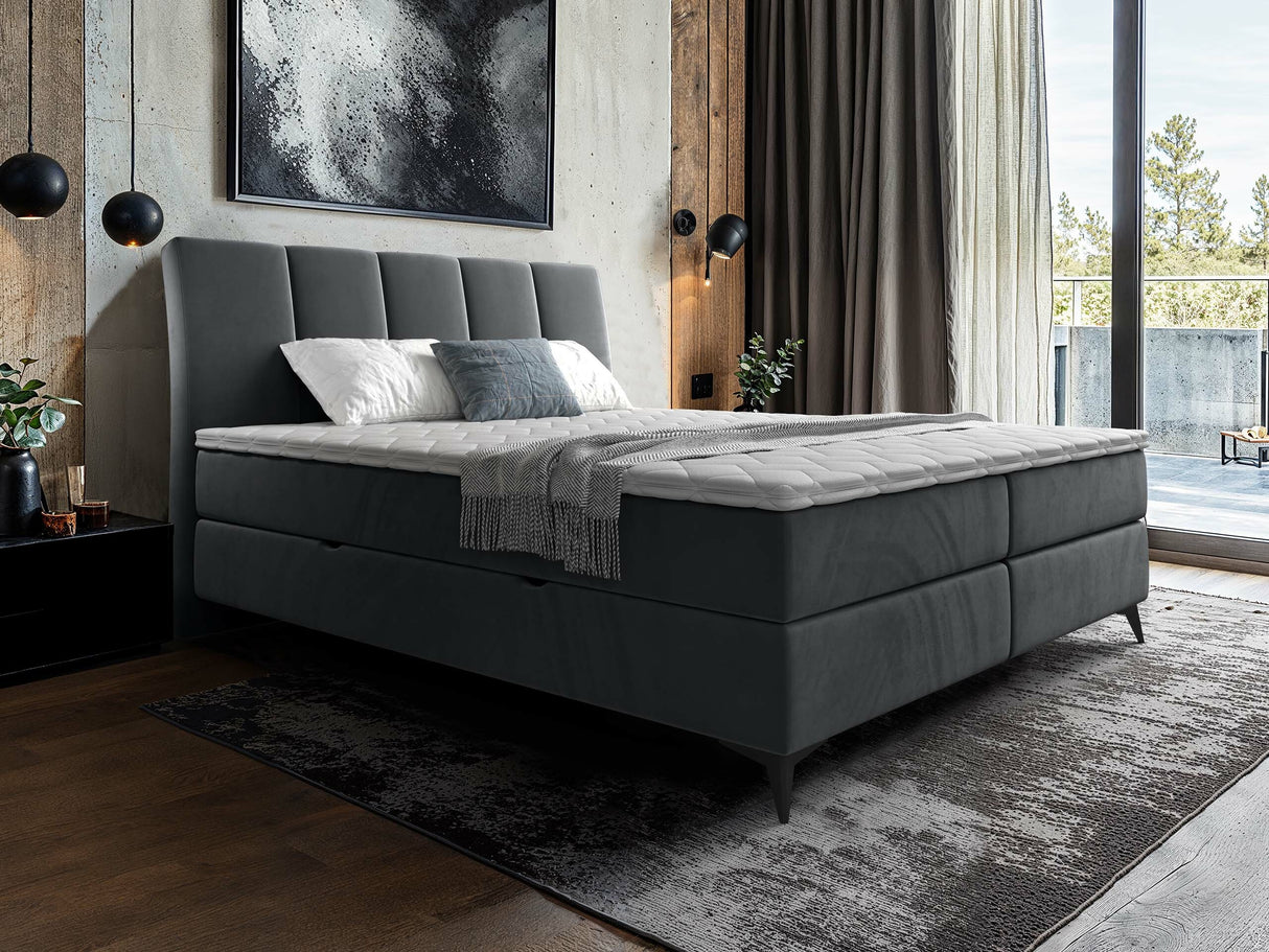 Continental lova 436149