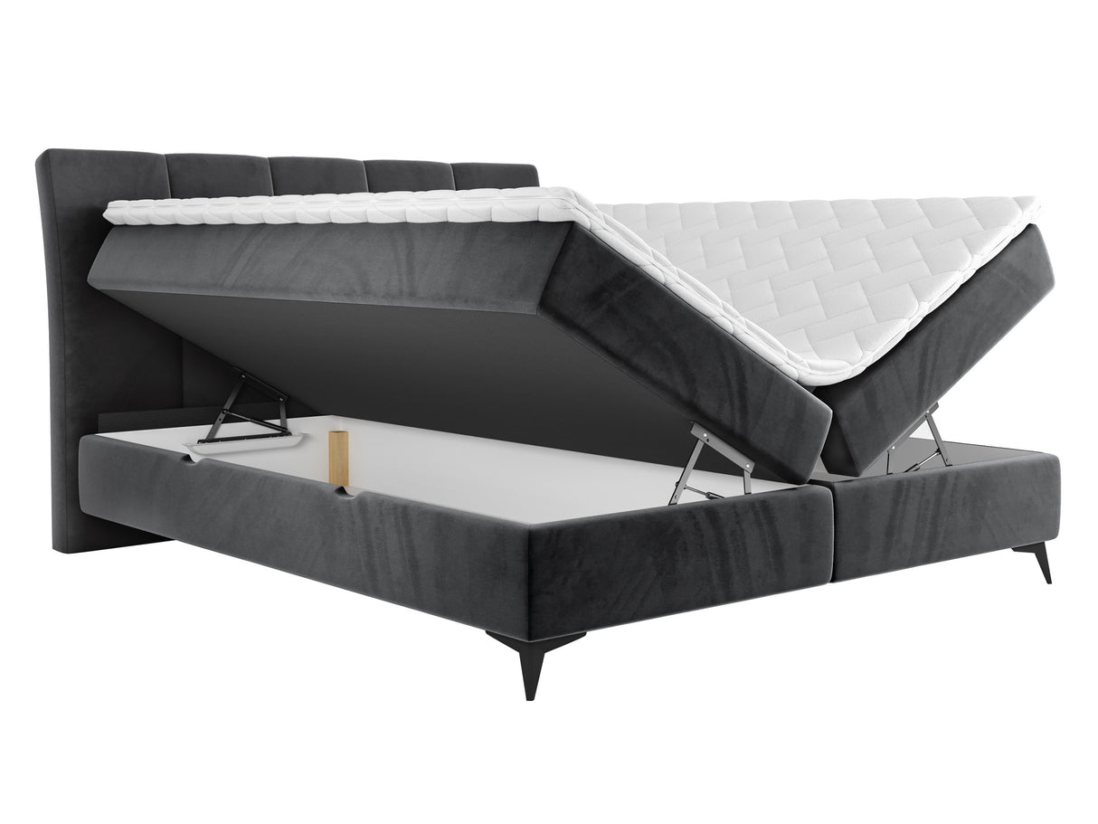 Continental lova 436149