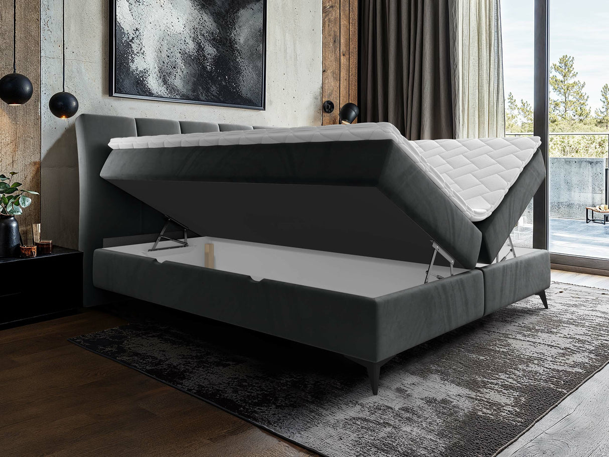 Continental lova 436149