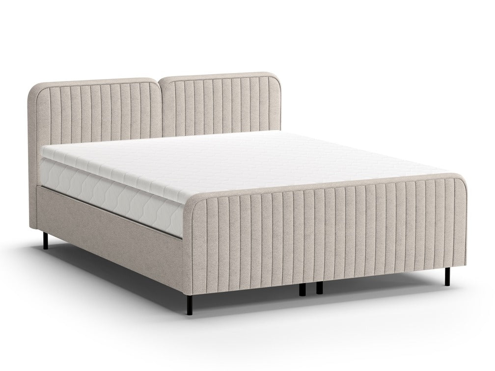 Continental lova 613861