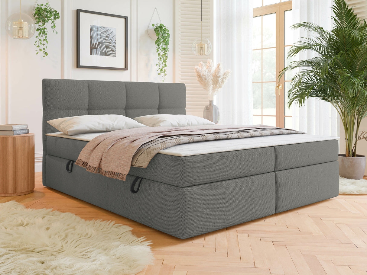 Continental lova 541393 4266026