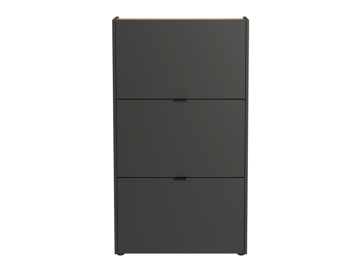 Batų dėžė 620475