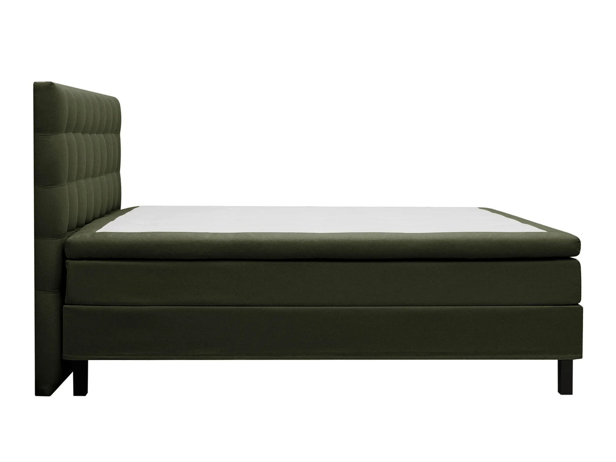 Continental lova 626569