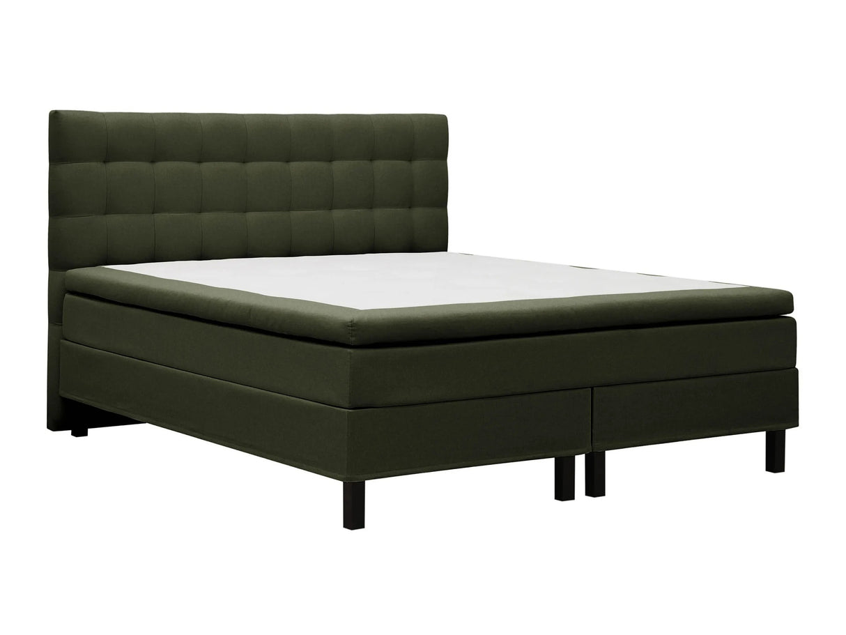 Continental lova 626569