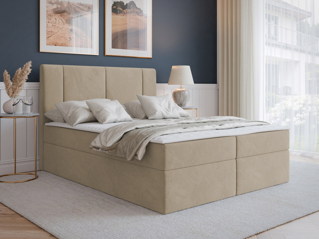 Continental lova 629505