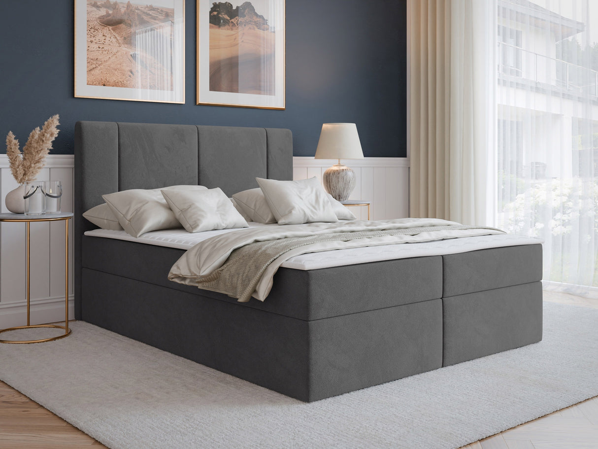 Continental lova 629505
