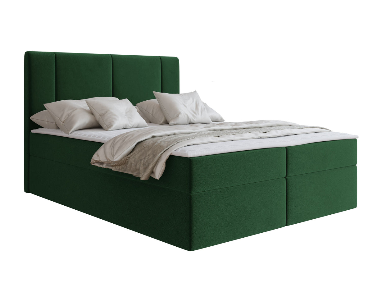Continental lova 629505