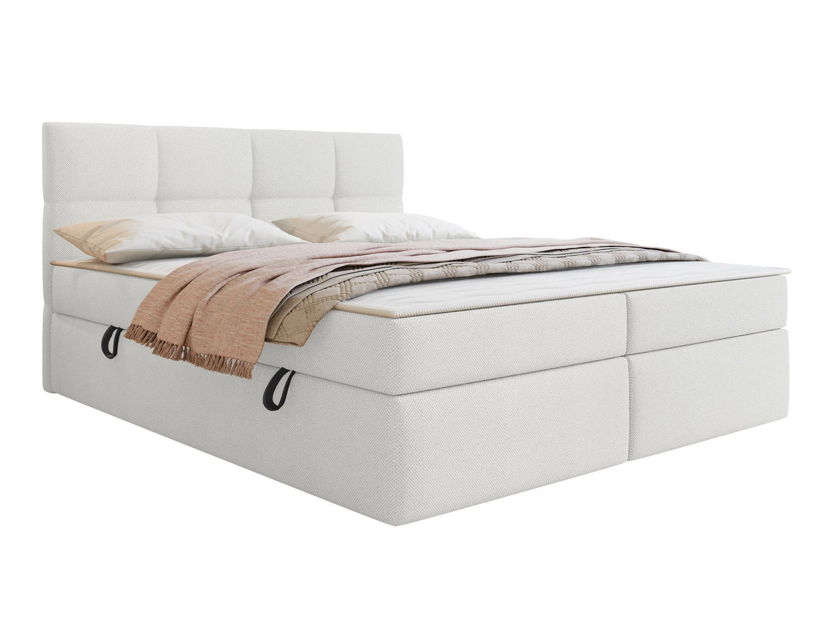 Continental lova 541393