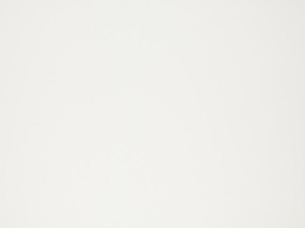 Darbo stalas 47799 4510762