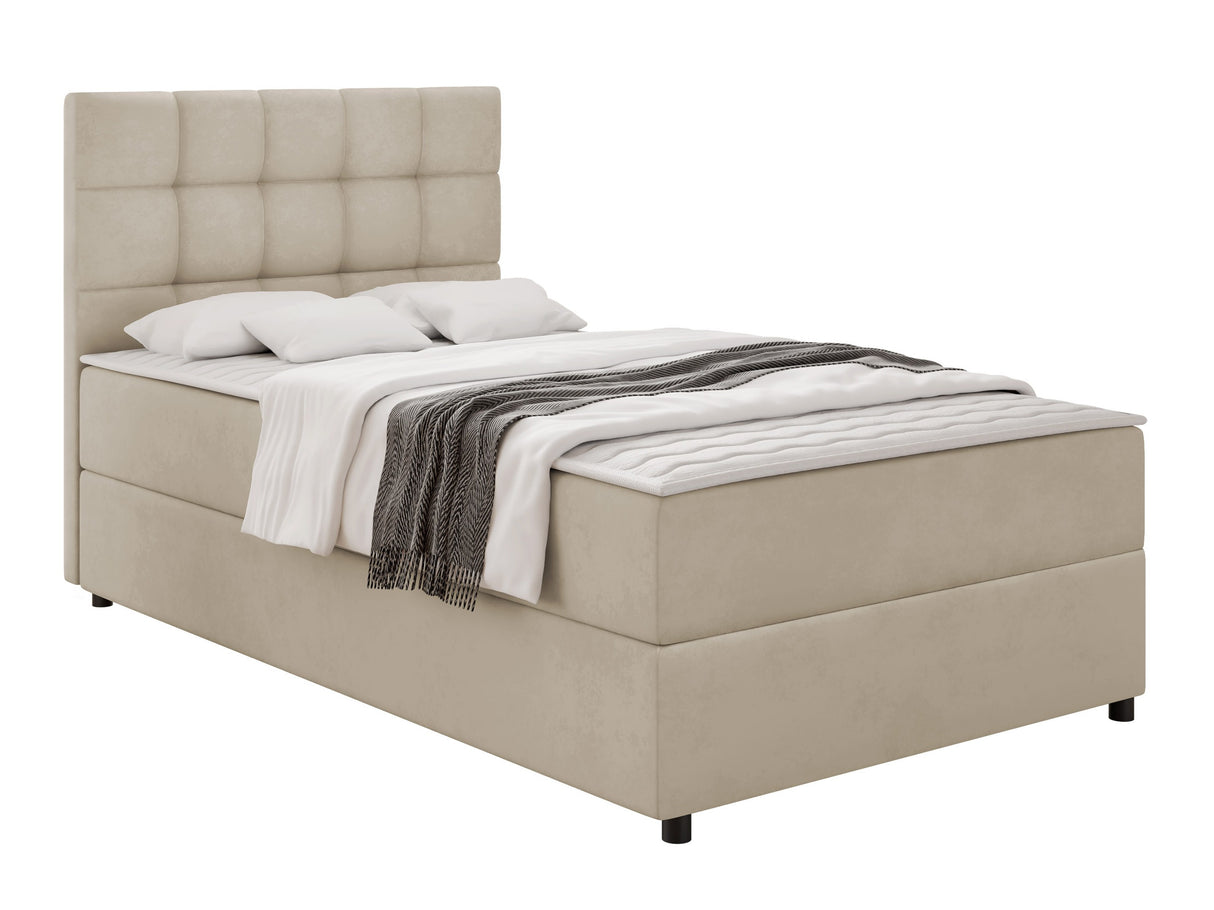 Continental lova 589198 4513858