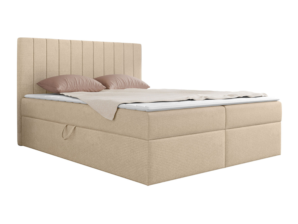 Continental lova 586788 4551287