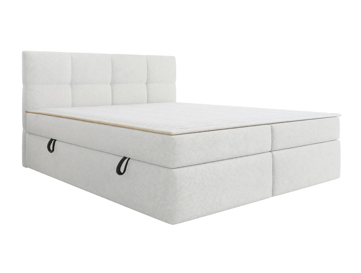 Continental lova 541393 4557296