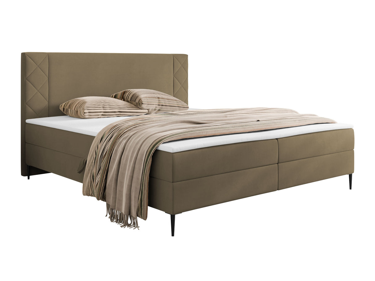 Continental lova 640907