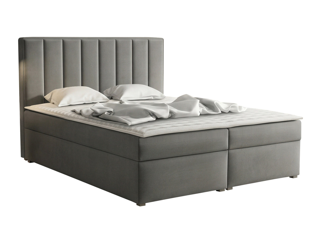 Continental lova 320788 4619130