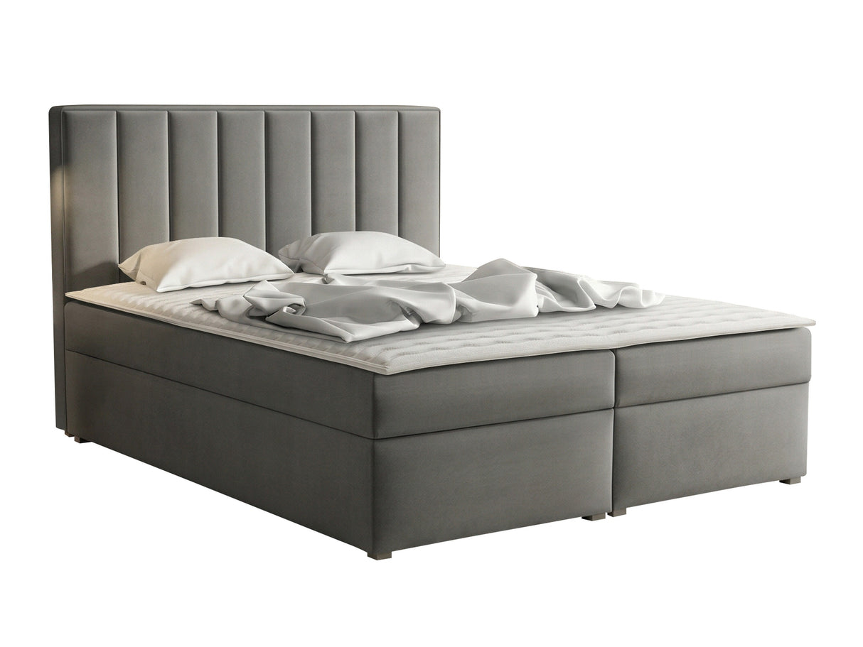 Continental lova 320788 4619133