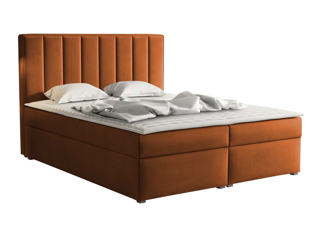 Continental lova 320788 4619168
