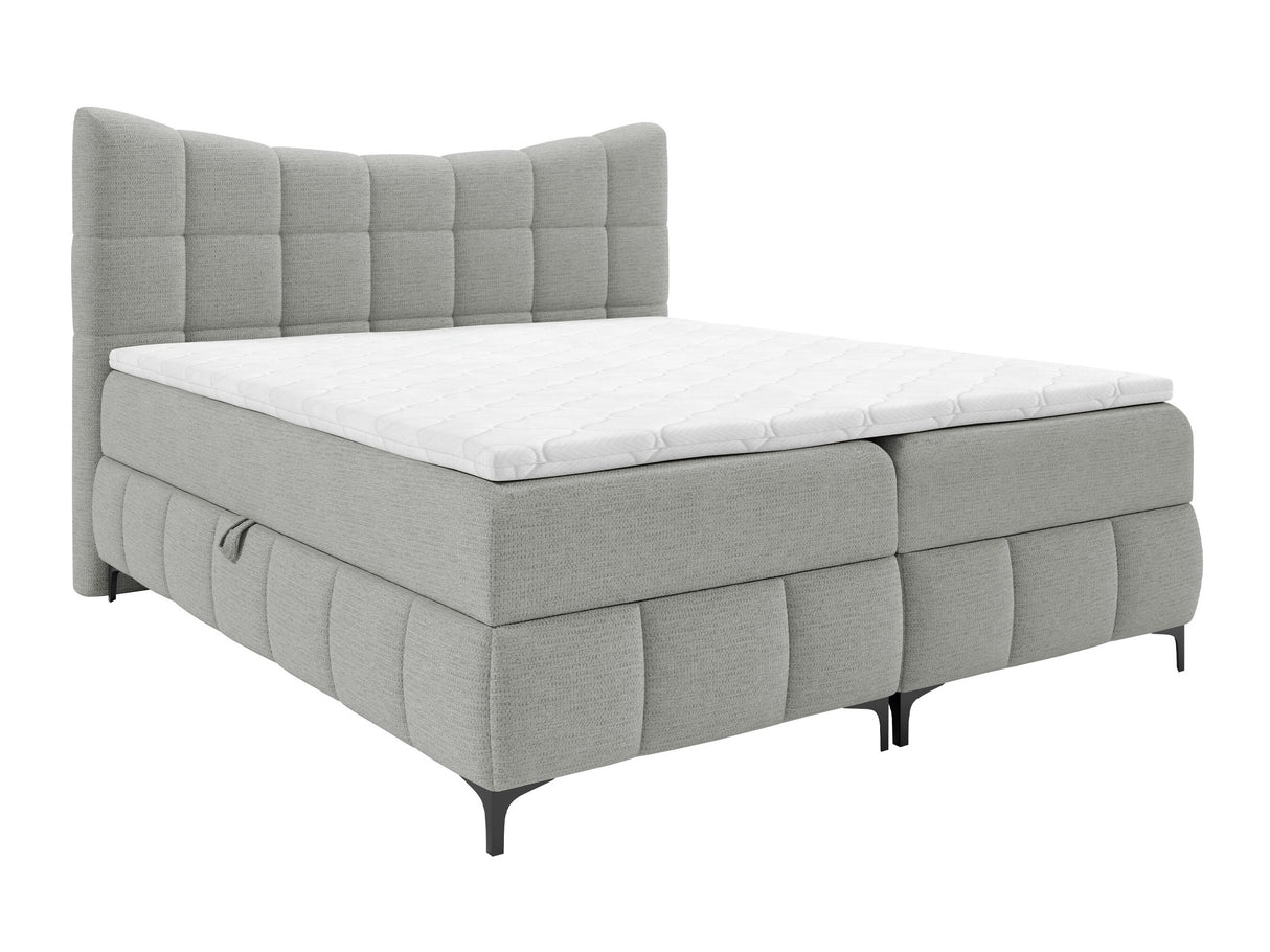 Continental lova 565585 4626857