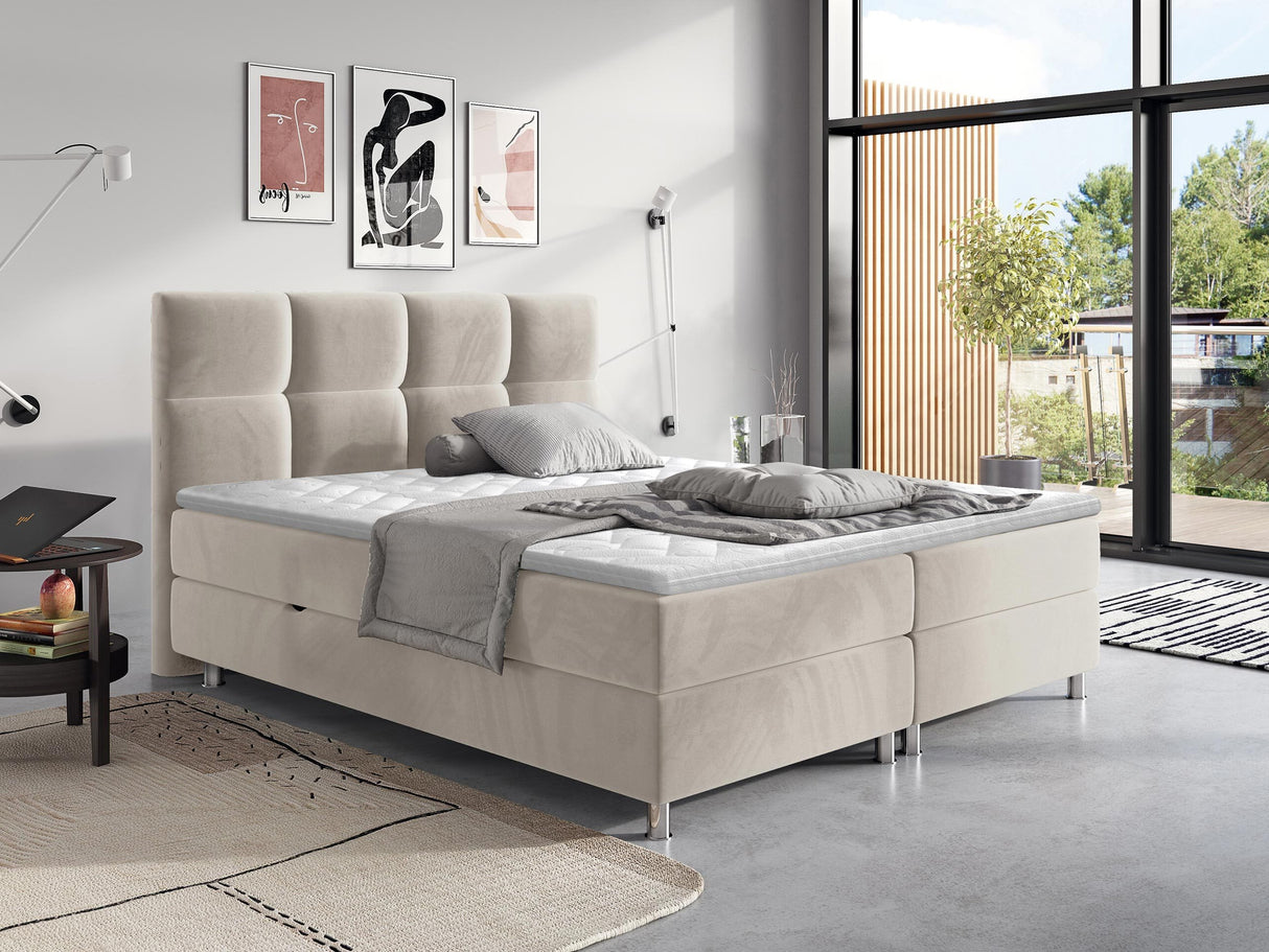 Continental lova 206691 4650294