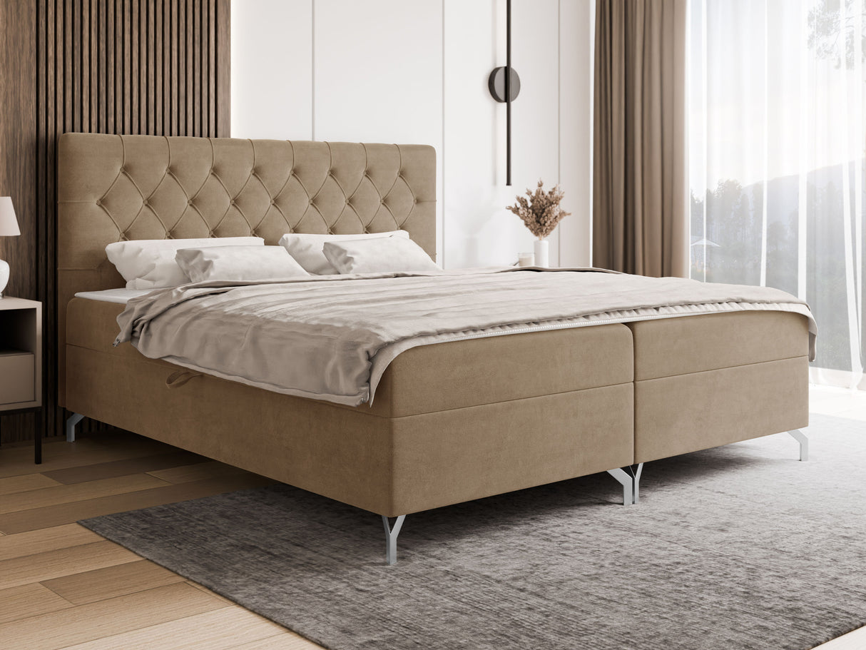 Continental lova 650101