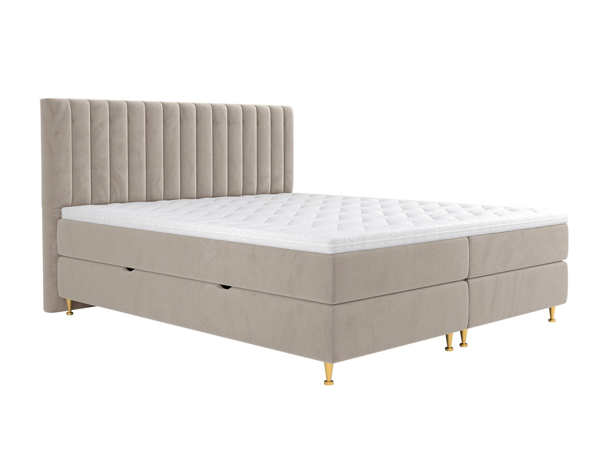 Continental lova 294981 4796756