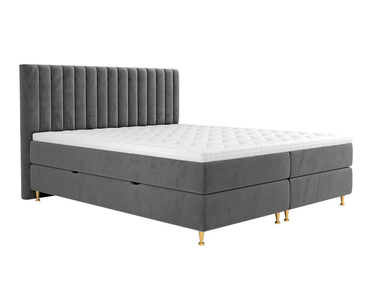 Continental lova 294981 4796785