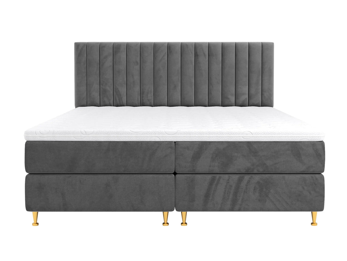 Continental lova 294981 4796786