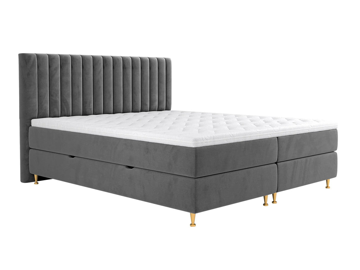 Continental lova 294981 4796787
