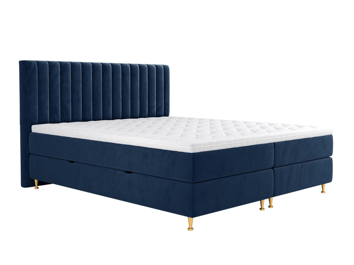 Continental lova 294981 4796791