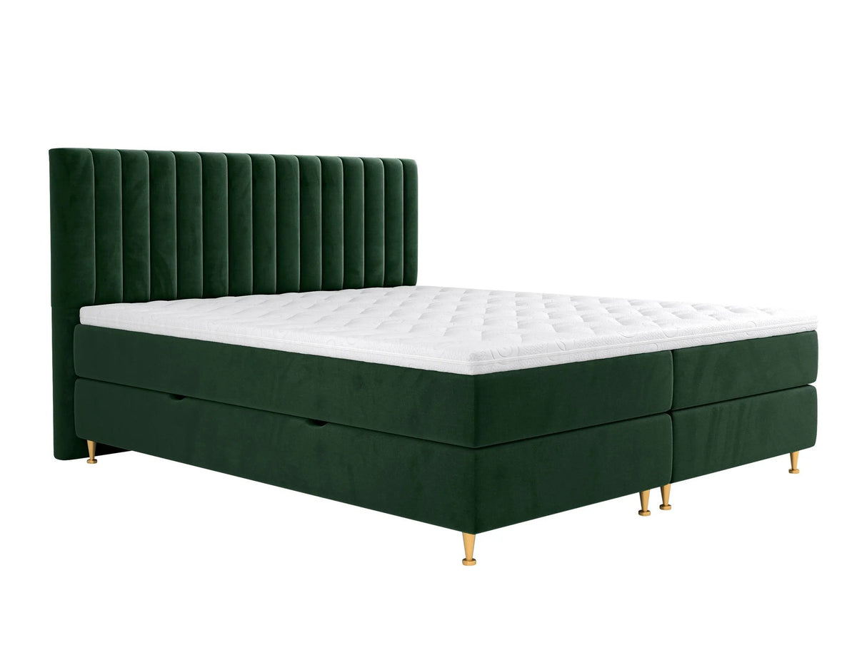Continental lova 294981 4796812