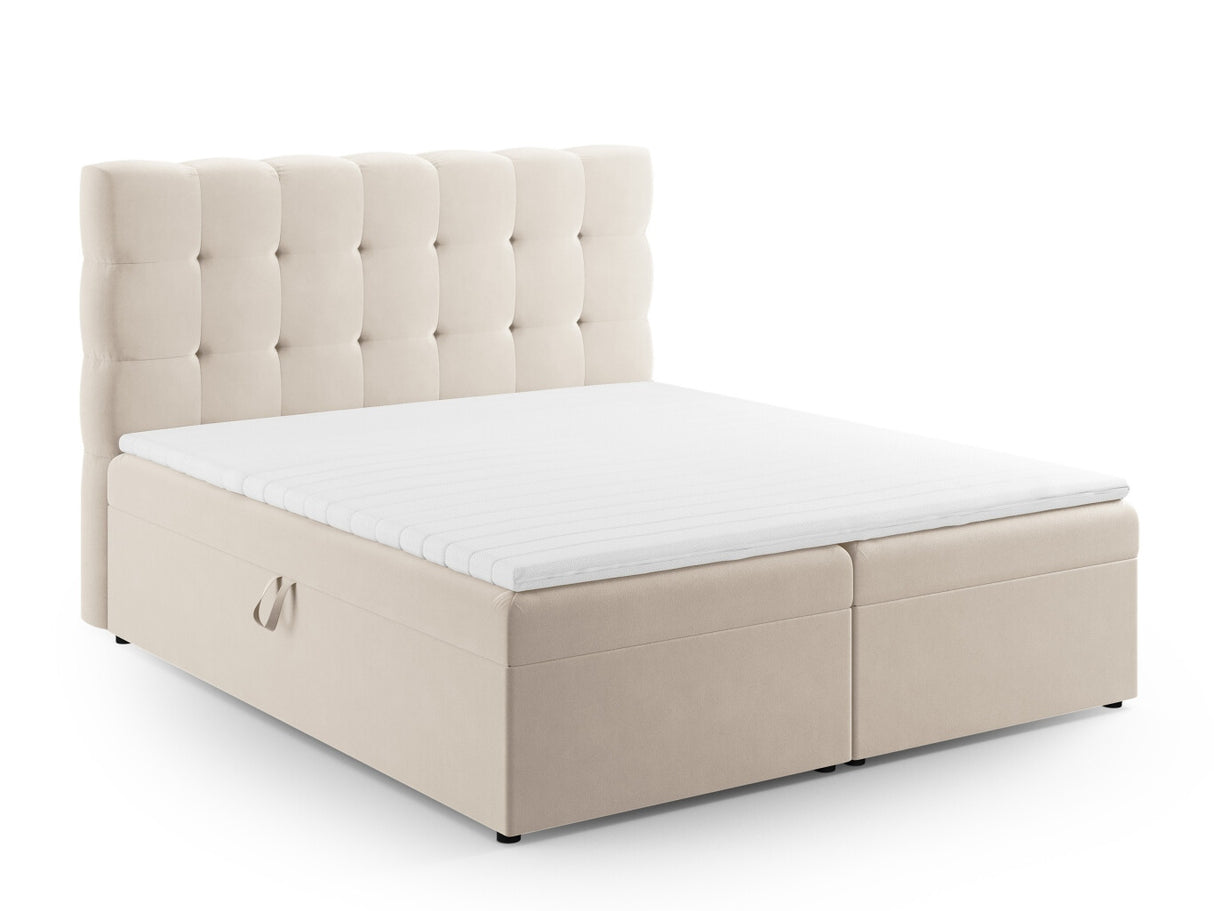Continental lova 663568