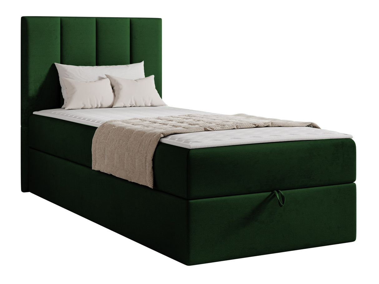 Continental lova 670213