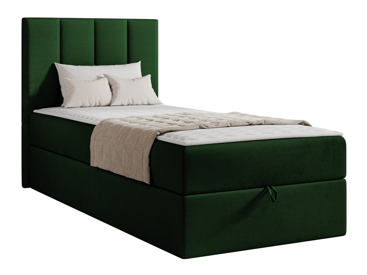 Continental lova 670213