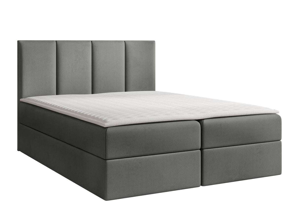 Continental lova 263501 5020773