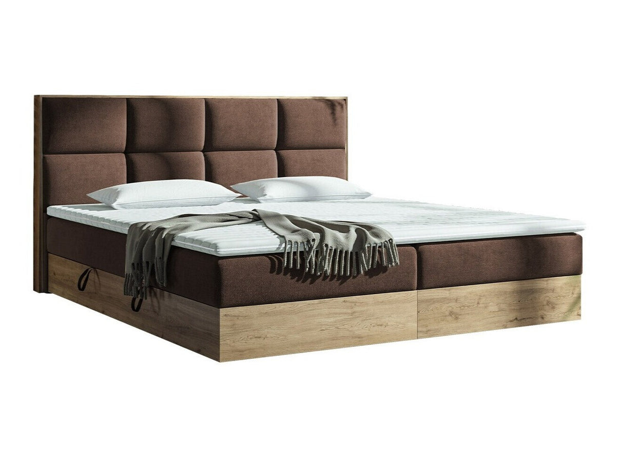 Continental lova 370086