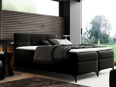 Continental lova 210906