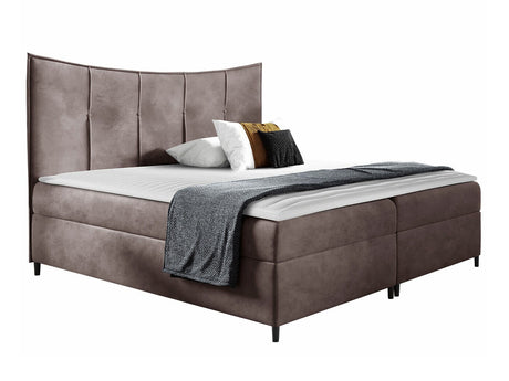 Continental lova 471831