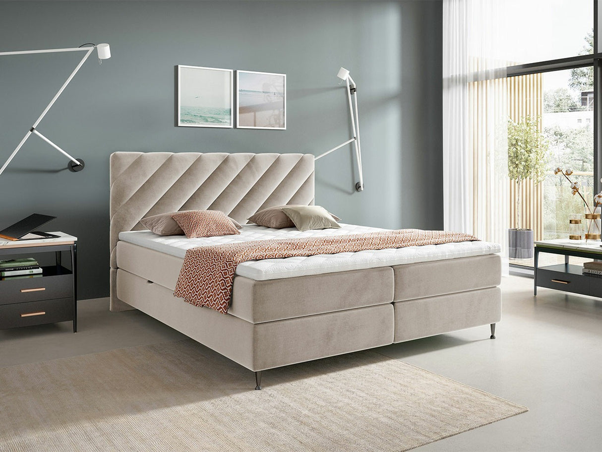 Continental lova 477041