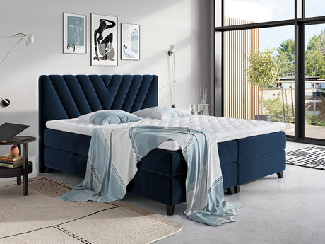 Continental lova 311453