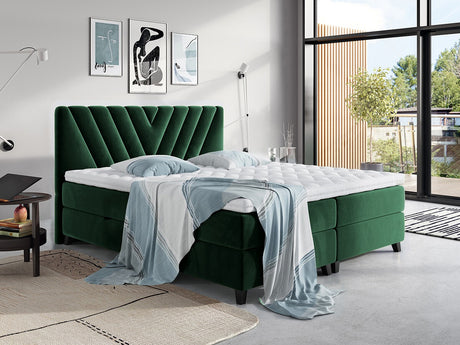 Continental lova 311453