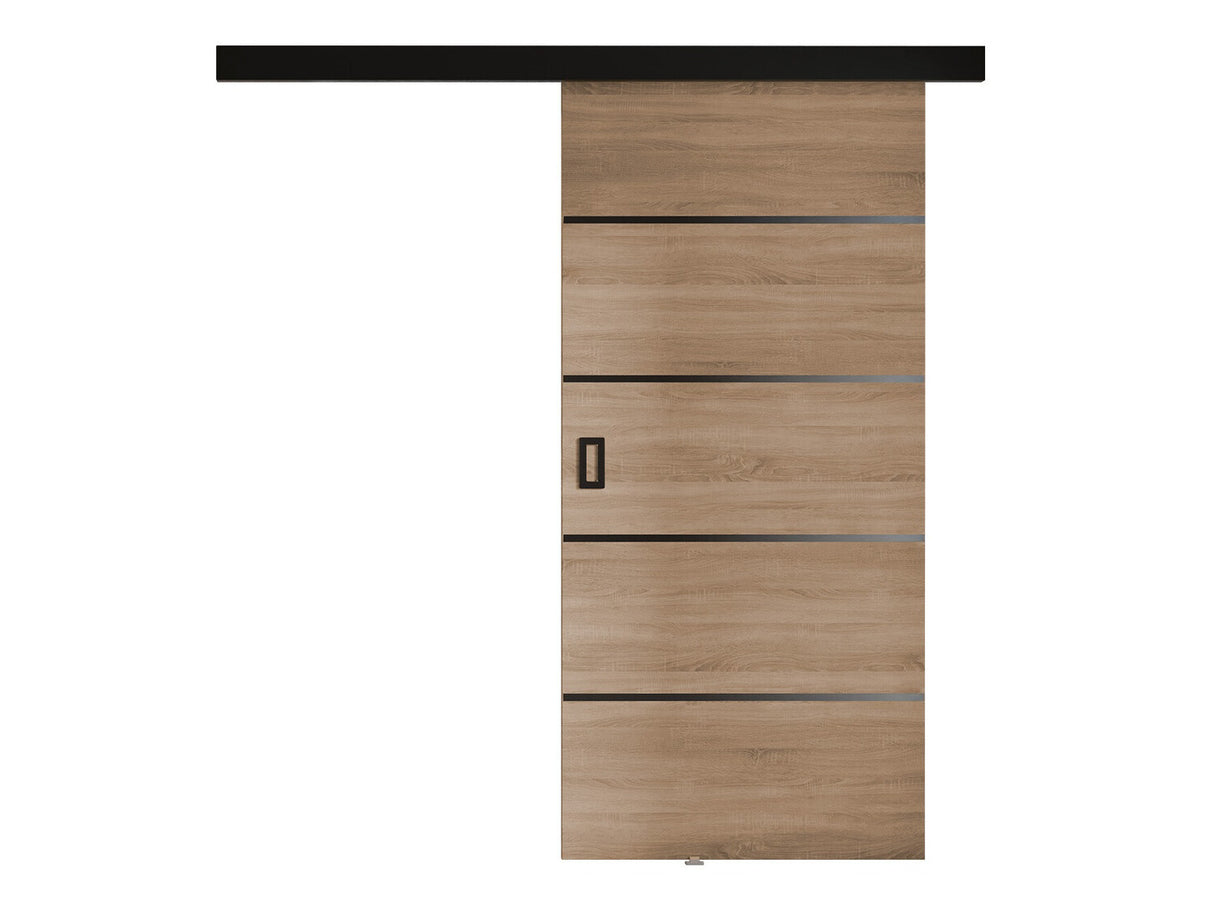 Stumdomos durys 505379