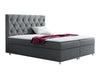 Continental lova 70564